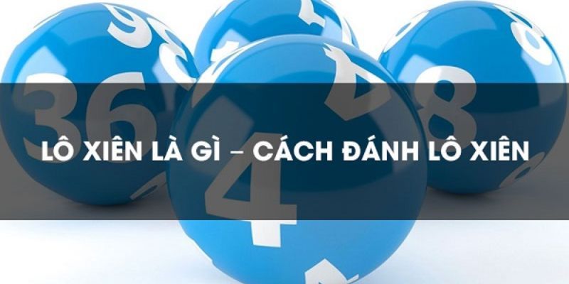 Lô xiên là gì ảnh đại diện