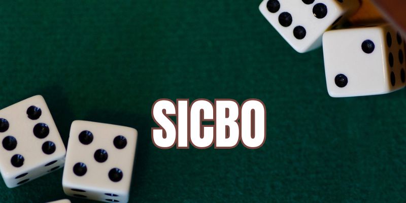 Sicbo ảnh đại diện